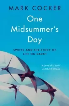 Image of One Midsummer's Day : Swifts and the Story of Life on Earth