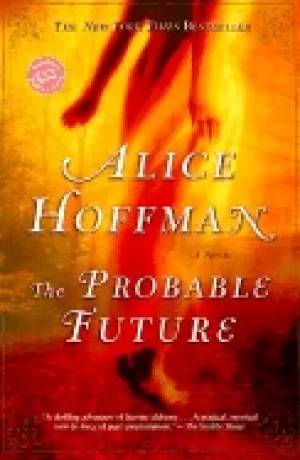 Image of probable future a novel