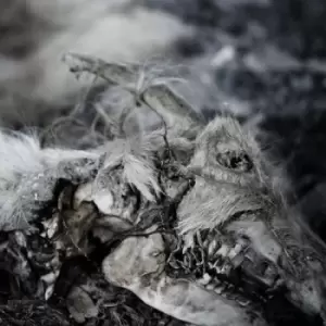 Image of When Death Comes by Aphonic Threnody CD Album