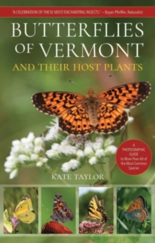 Image of Butterflies of Vermont Paperback / softback