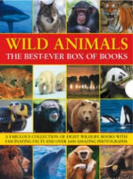 Image of Wild animals by Michael Bright