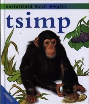 Image of Tsimp by Jinny Johnson Hardback
