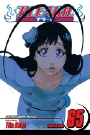 Image of bleach vol 65 volume 65