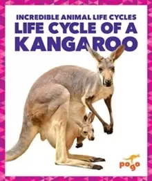 Image of Life Cycle of a Kangaroo
