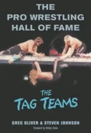 Image of pro wrestling hall of fame the tag teams