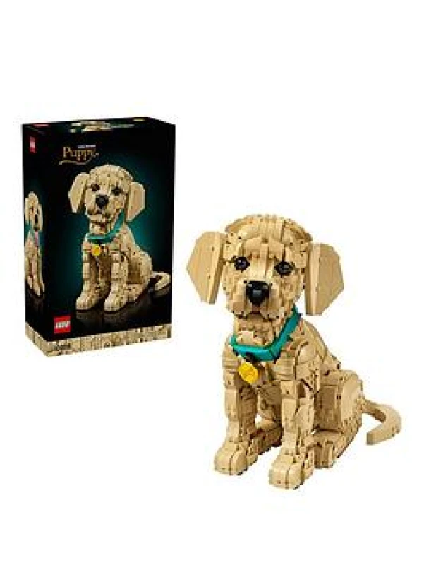 Image of LEGO Icons Golden Retriever Puppy - Animal Figure 11384 64 Lego One Size Multi 92110699000