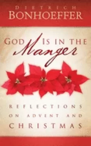 Image of god is in the manger reflections on advent and christmas