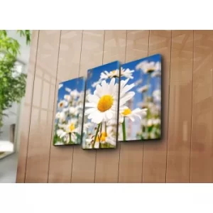 Image of 3NATPAT-23 Multicolor Decorative Canvas Painting (3 Pieces)