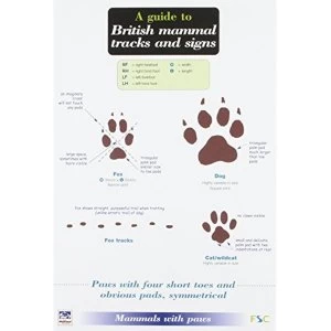 Image of A Guide to British Mammal Tracks and Signs by Simone Bullion (Paperback, 2002)