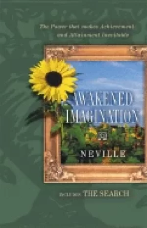 Image of awakened imagination the power that makes achievement of aims the attainmen