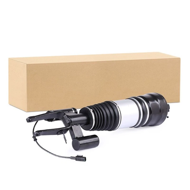 Image of RIDEX Air suspension strut RIDEX 4118A0063