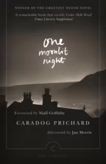 Image of One Moonlit Night