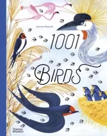 Image of 1001 Birds