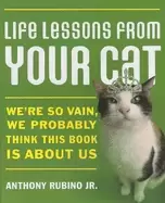 Image of life lessons from your cat were so vain we probably think this book is abou