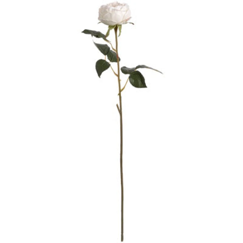 Image of Hill Interiors Artificial Austin Rose White/blush Pink (One Size)