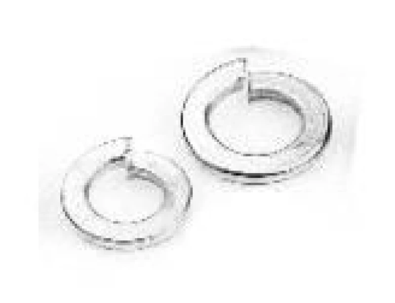 Image of Spring Washer, exhaust system VEGAZ FE-M12