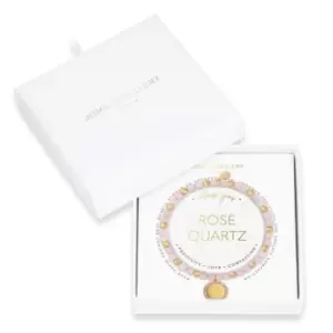 Image of Wellness Gems Gold Rose Quartz 17.5cm Stretch Bracelet 3854