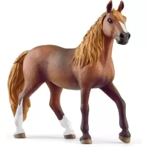 Image of Paso Peruano Mare