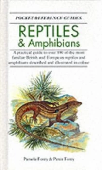 Image of Reptiles and Amphibians by Pamela Forey and Peter L Forey Hardback