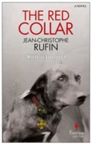 Image of red collar