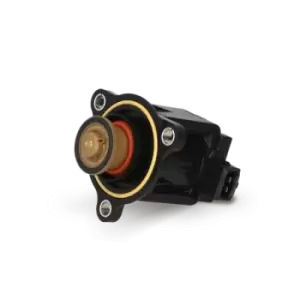 Image of PIERBURG Diverter Valve, charger FIAT,ALFA ROMEO,JEEP 7.02909.07.0 55221800,04892991AA,68119600AA K68119600AA,55221800,68119600AA,K68119600AA