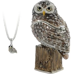 Image of Secrets from Hidden Treasures Little Owl