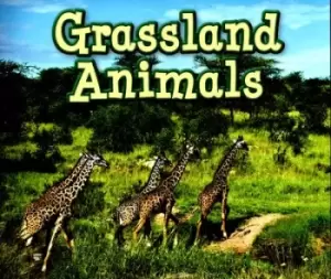 Image of Grassland animals - Sin Smith - Paperback - Used
