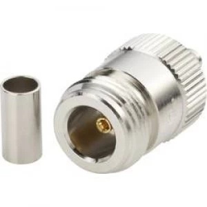 image of N connector Socket straight 50 Amphenol N6121A1 NT3G 1 50