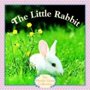 Image of little rabbit