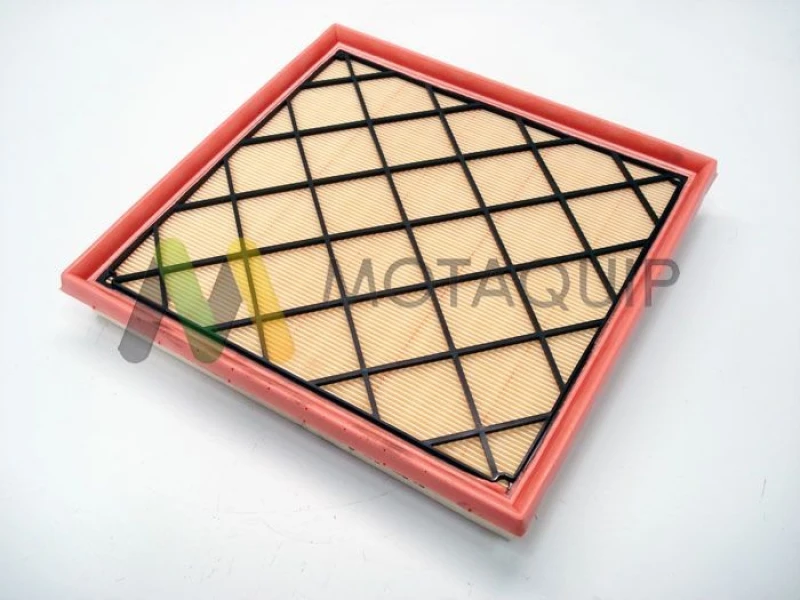 Image of MOTAQUIP Air filter MOTAQUIP LVFA1419