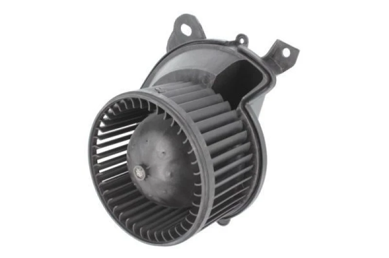 Image of THERMOTEC Blower motor THERMOTEC DDF009TT