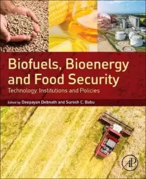Image of Biofuels, Bioenergy and Food Security by Deepayan Debnath