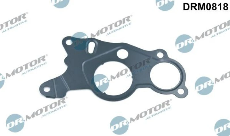Image of DR.MOTOR AUTOMOTIVE Gasket, vacuum pump DR.MOTOR AUTOMOTIVE DRM0818