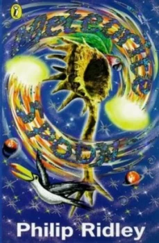 Image of Meteorite Spoon by Philip Ridley and Chris Riddell Paperback