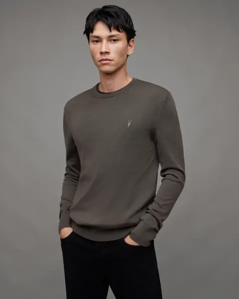 image of AllSaints Mode Merino Ramskull Crew Jumper