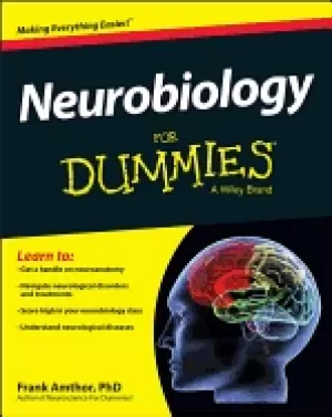 Image of neurobiology for dummies