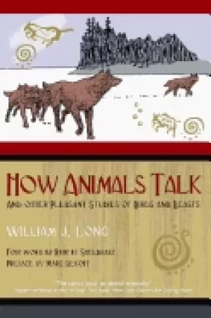 Image of how animals talk and other pleasant studies of birds and beasts