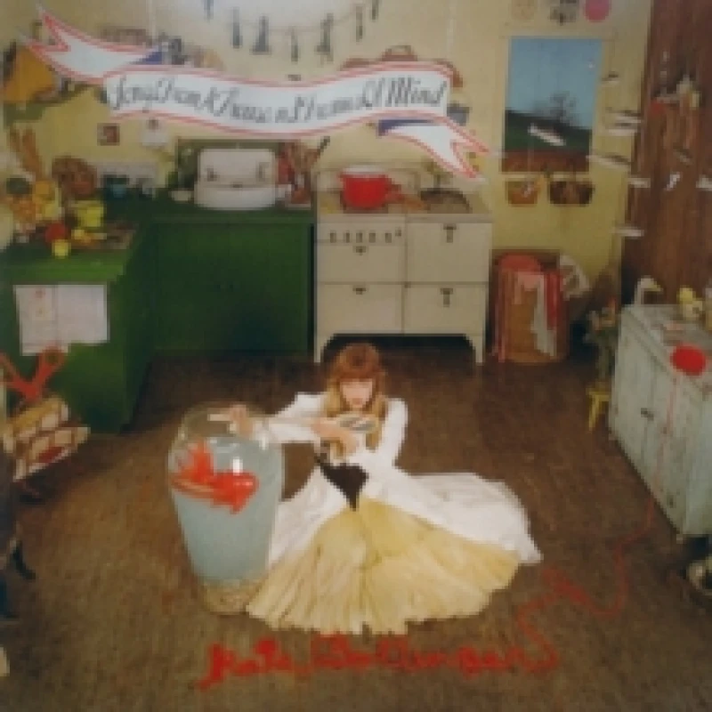 Image of Songs from a Thousand Frames of Mind Vinyl