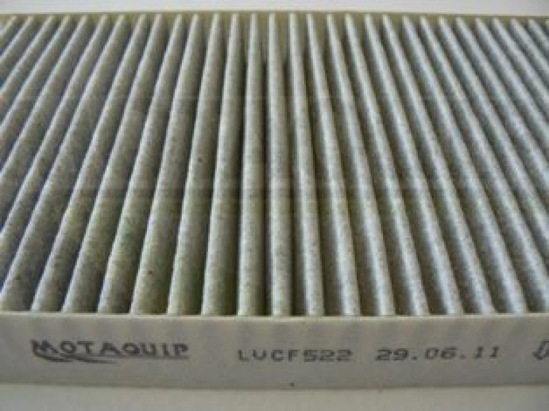 Image of MOTAQUIP Pollen filter MOTAQUIP LVCF522