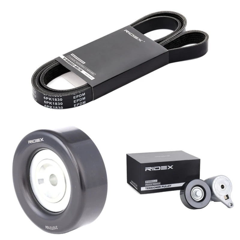 Image of RIDEX 542R0901 V-ribbed belt set V-Ribbed Belt Set (542)