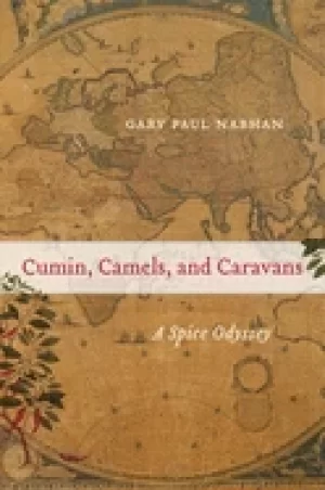 Image of cumin camels and caravans a spice odyssey