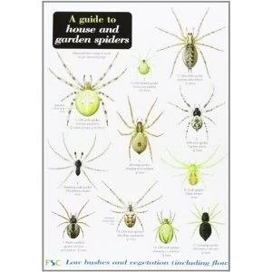 Image of A Guide to House and Garden Spiders Chalk and Limestone 2002 Pamphlet