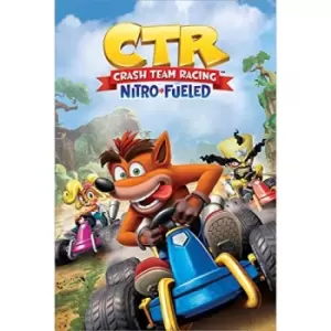 Image of Crash Bandicoot Poster CTR 202