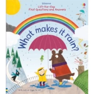 Image of Lift-the-Flap First Questions & Answers : What Makes it Rain?