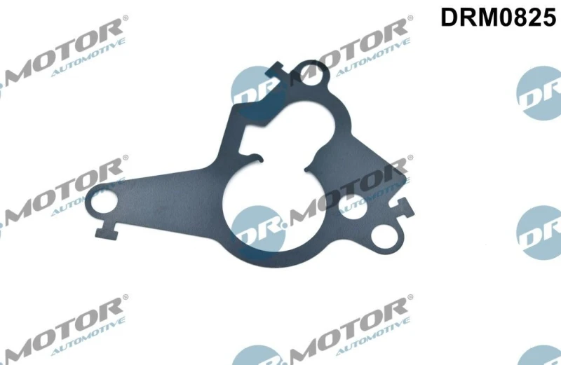 Image of DR.MOTOR AUTOMOTIVE Gasket, vacuum pump piston DR.MOTOR AUTOMOTIVE DRM0825