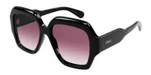Image of Chloe Sunglasses CH0154S 001