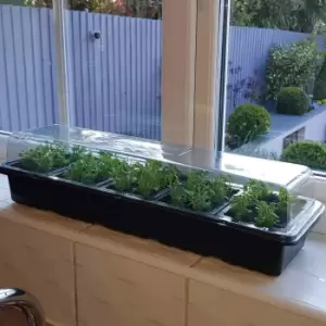 Image of YouGarden Windowsill Propagator Kit - 6 Sets 180 Plants