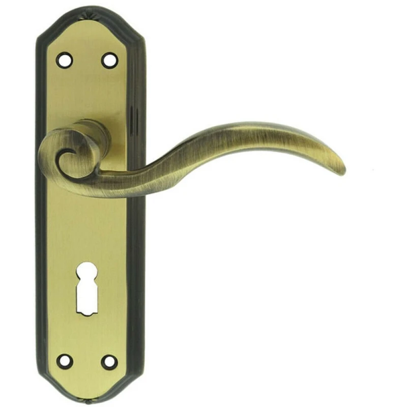 Image of Loops PAIR Spiral Sculpted Handle on Lock Backplate 180 x 48mm Florentine Bronze Multi
