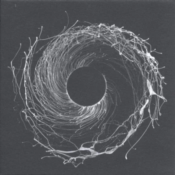 Image of Dawn Of Midi - Dysnomia Vinyl
