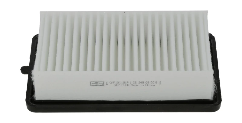 Image of Air filter CHAMPION CAF101191P